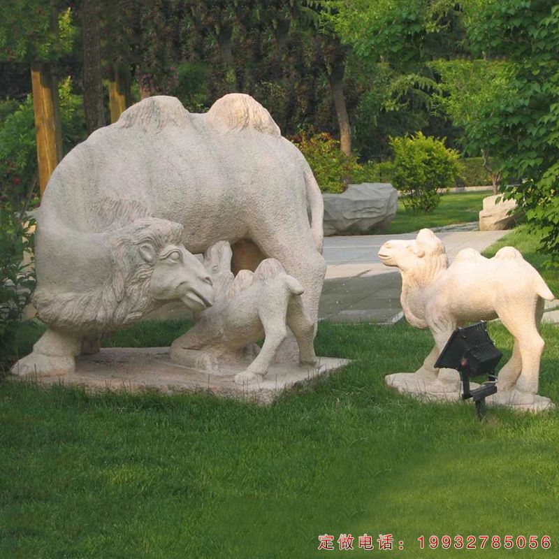 公园骆驼动物石雕（1）